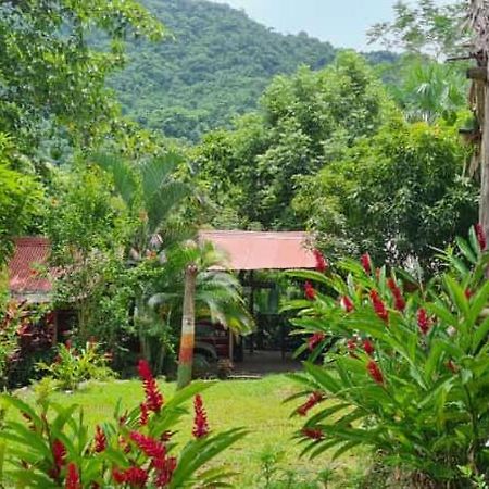 Eco Hostal Monolandia 埃尔扎伊诺 外观 照片