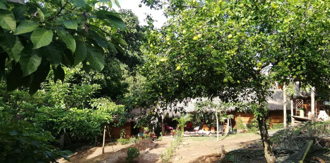 Eco Hostal Monolandia 埃尔扎伊诺 外观 照片