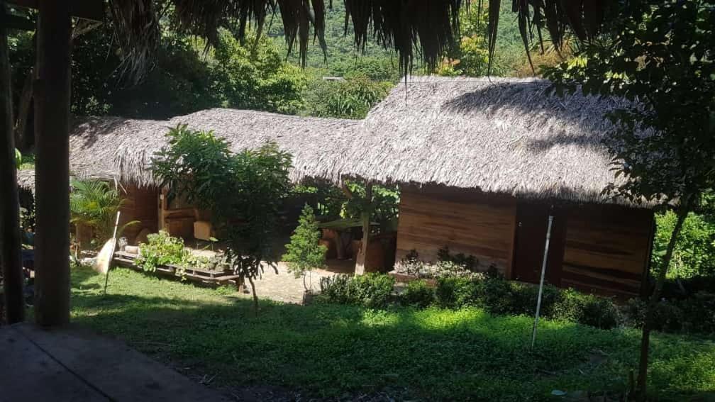 Eco Hostal Monolandia 埃尔扎伊诺 外观 照片