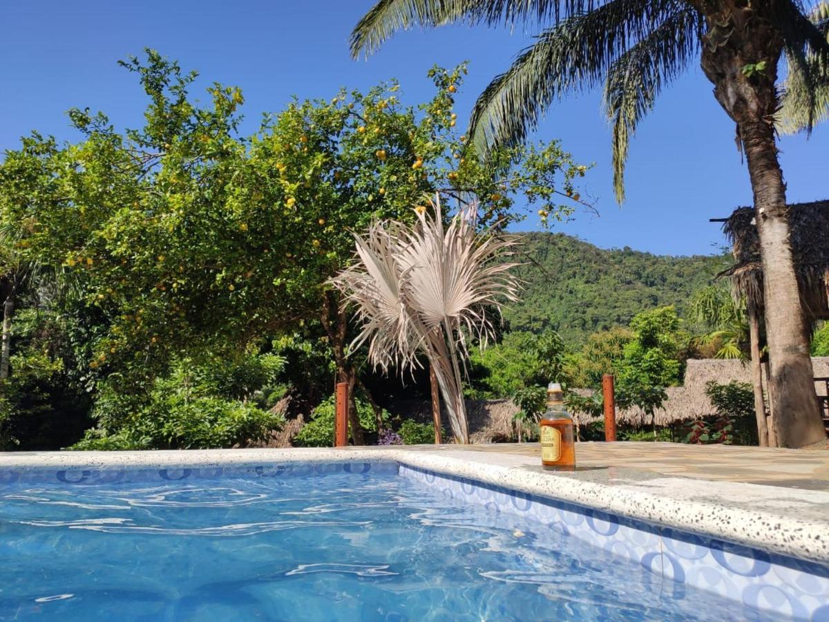 Eco Hostal Monolandia 埃尔扎伊诺 外观 照片