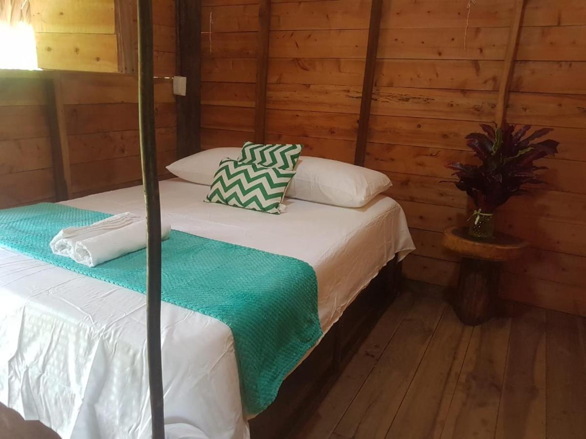 Eco Hostal Monolandia 埃尔扎伊诺 外观 照片