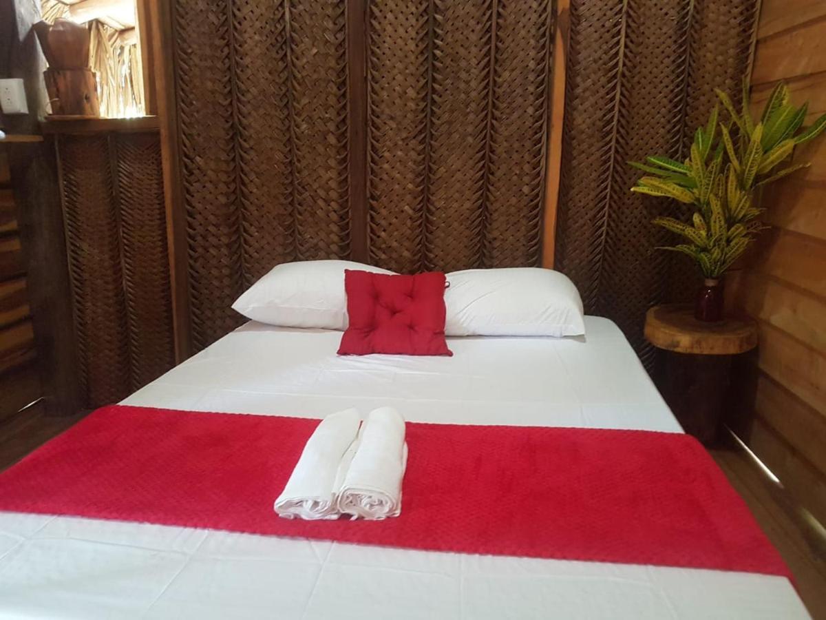 Eco Hostal Monolandia 埃尔扎伊诺 外观 照片