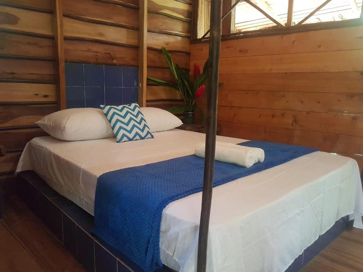 Eco Hostal Monolandia 埃尔扎伊诺 外观 照片
