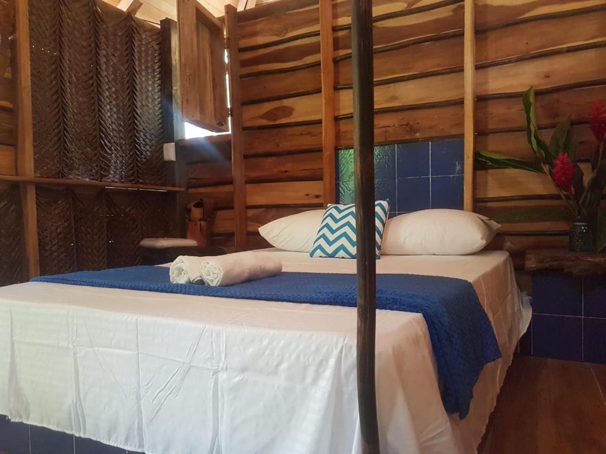 Eco Hostal Monolandia 埃尔扎伊诺 外观 照片
