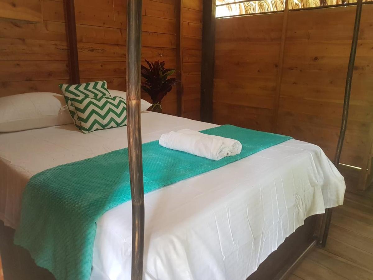 Eco Hostal Monolandia 埃尔扎伊诺 外观 照片