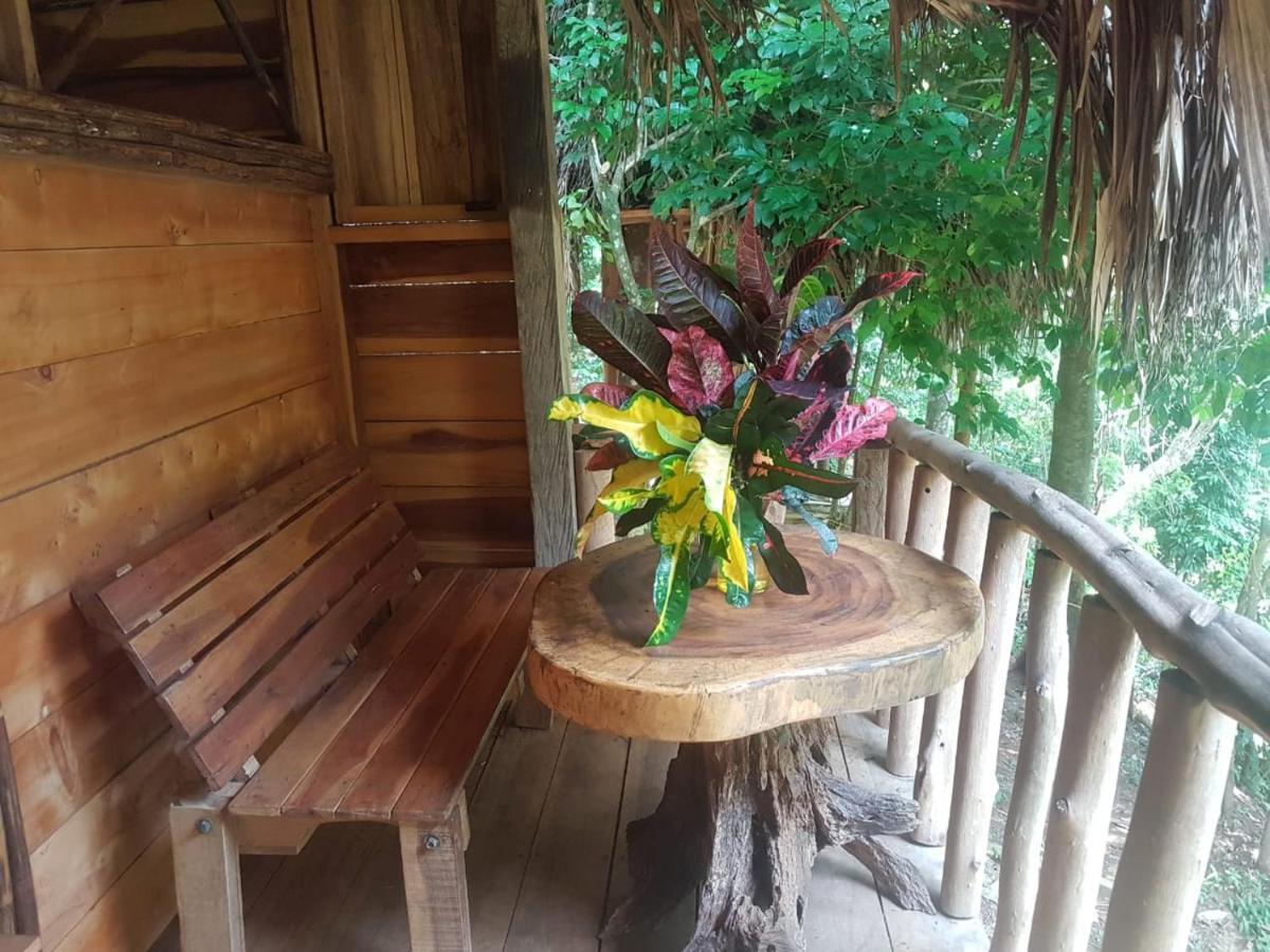 Eco Hostal Monolandia 埃尔扎伊诺 外观 照片