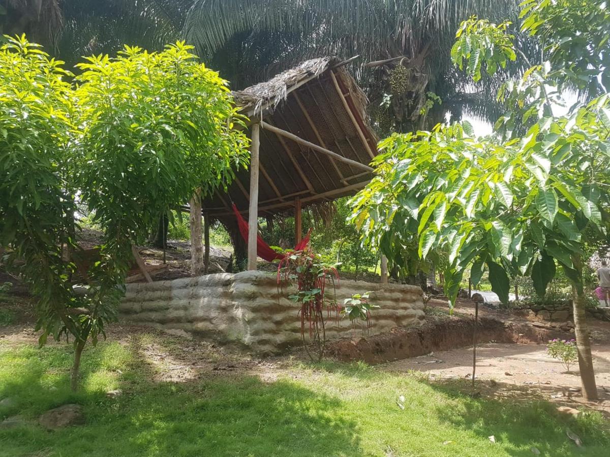 Eco Hostal Monolandia 埃尔扎伊诺 外观 照片
