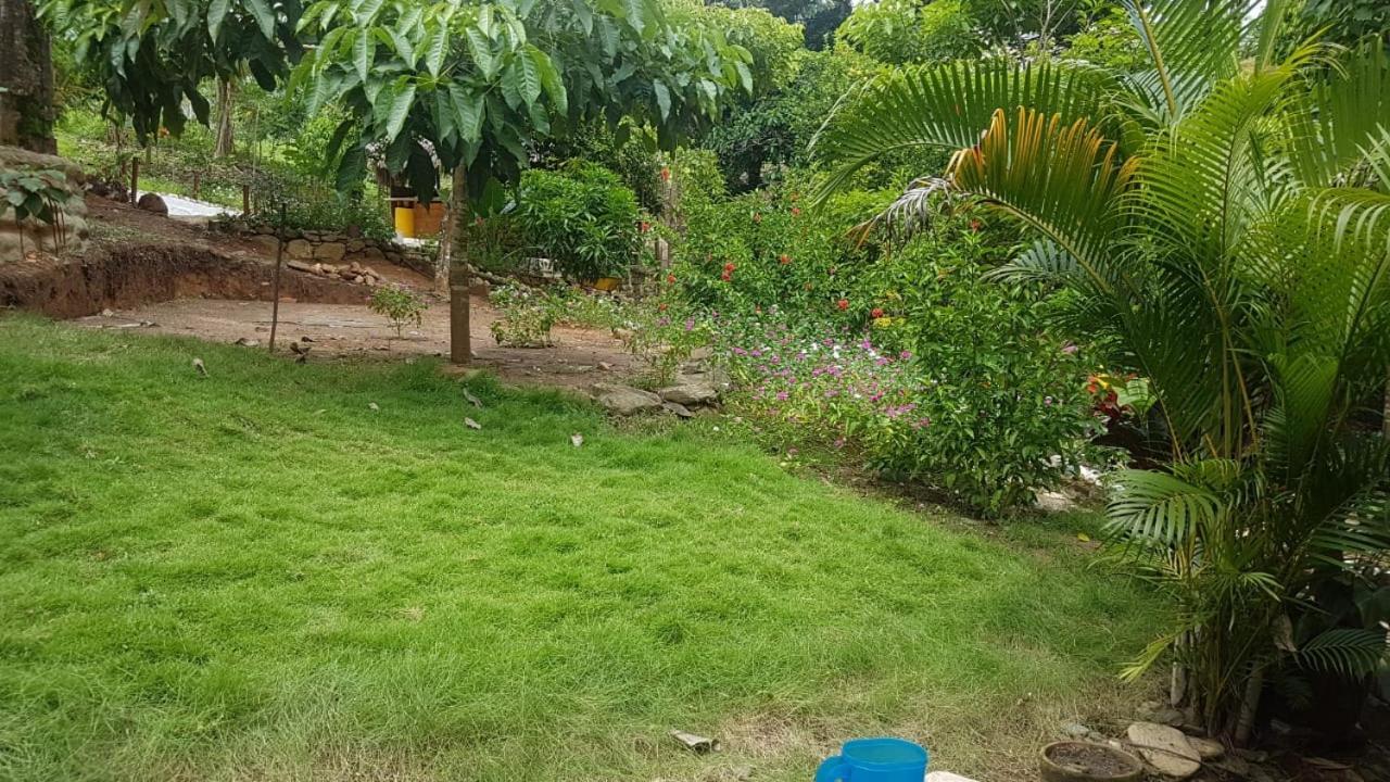 Eco Hostal Monolandia 埃尔扎伊诺 外观 照片