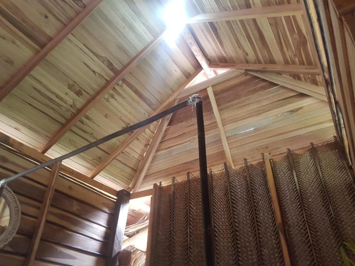 Eco Hostal Monolandia 埃尔扎伊诺 外观 照片