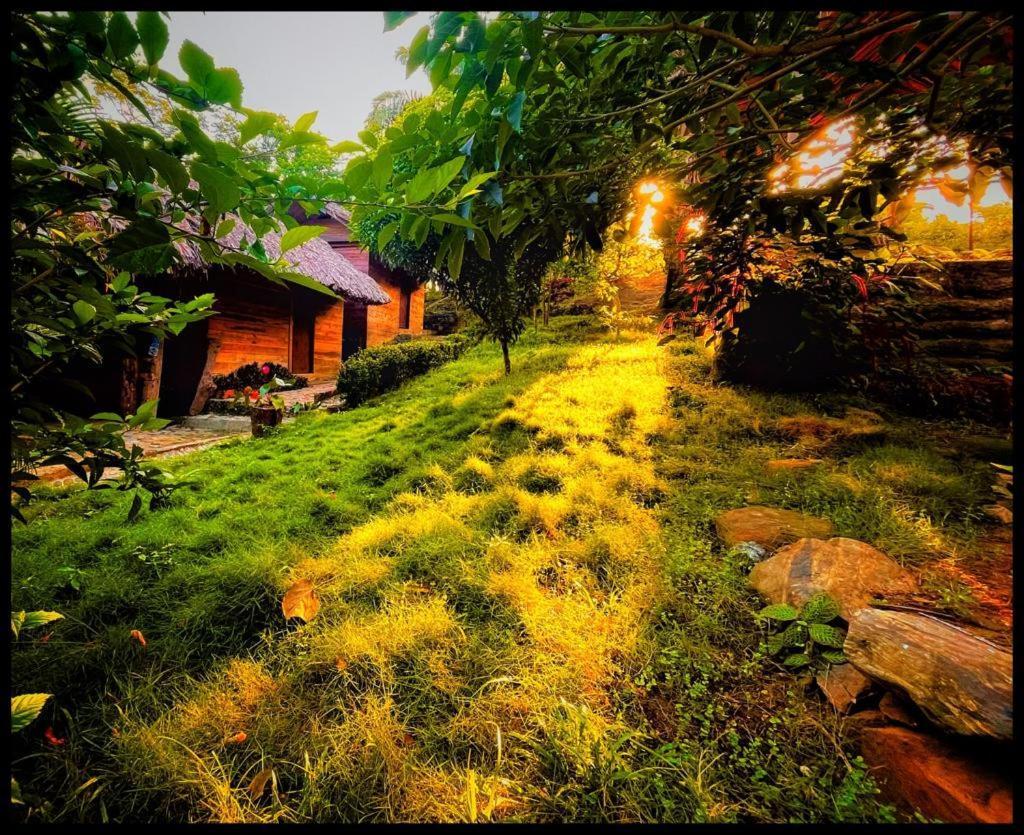 Eco Hostal Monolandia 埃尔扎伊诺 外观 照片