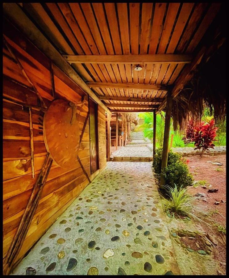 Eco Hostal Monolandia 埃尔扎伊诺 外观 照片