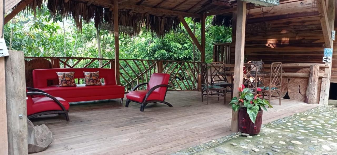 Eco Hostal Monolandia 埃尔扎伊诺 外观 照片