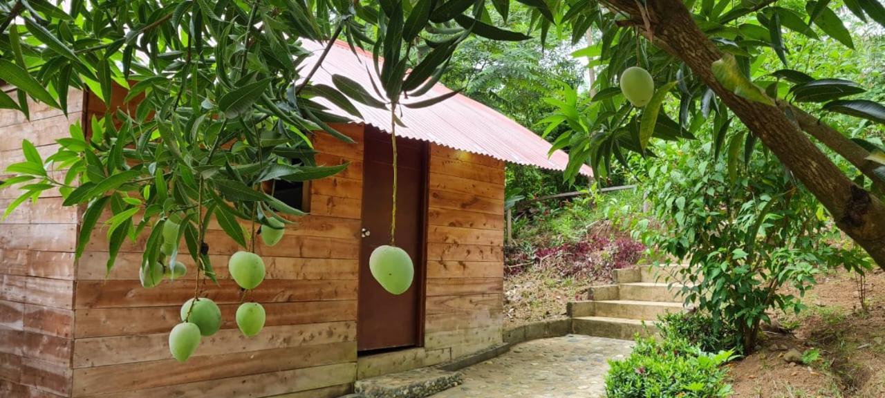 Eco Hostal Monolandia 埃尔扎伊诺 外观 照片