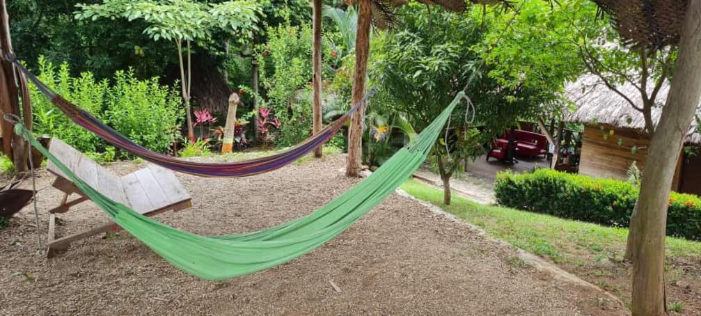 Eco Hostal Monolandia 埃尔扎伊诺 外观 照片