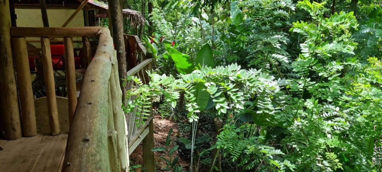 Eco Hostal Monolandia 埃尔扎伊诺 外观 照片