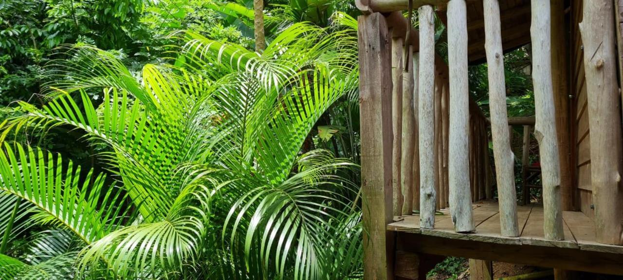 Eco Hostal Monolandia 埃尔扎伊诺 外观 照片