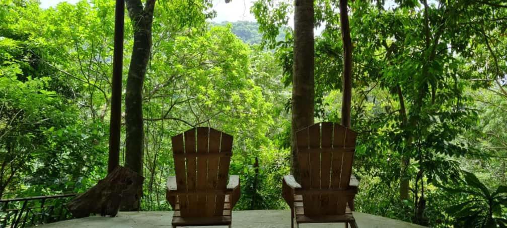 Eco Hostal Monolandia 埃尔扎伊诺 外观 照片