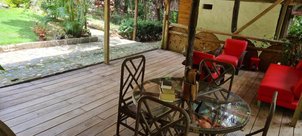Eco Hostal Monolandia 埃尔扎伊诺 外观 照片