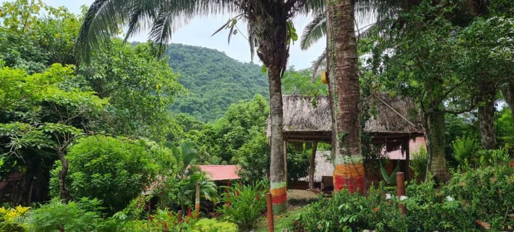 Eco Hostal Monolandia 埃尔扎伊诺 外观 照片