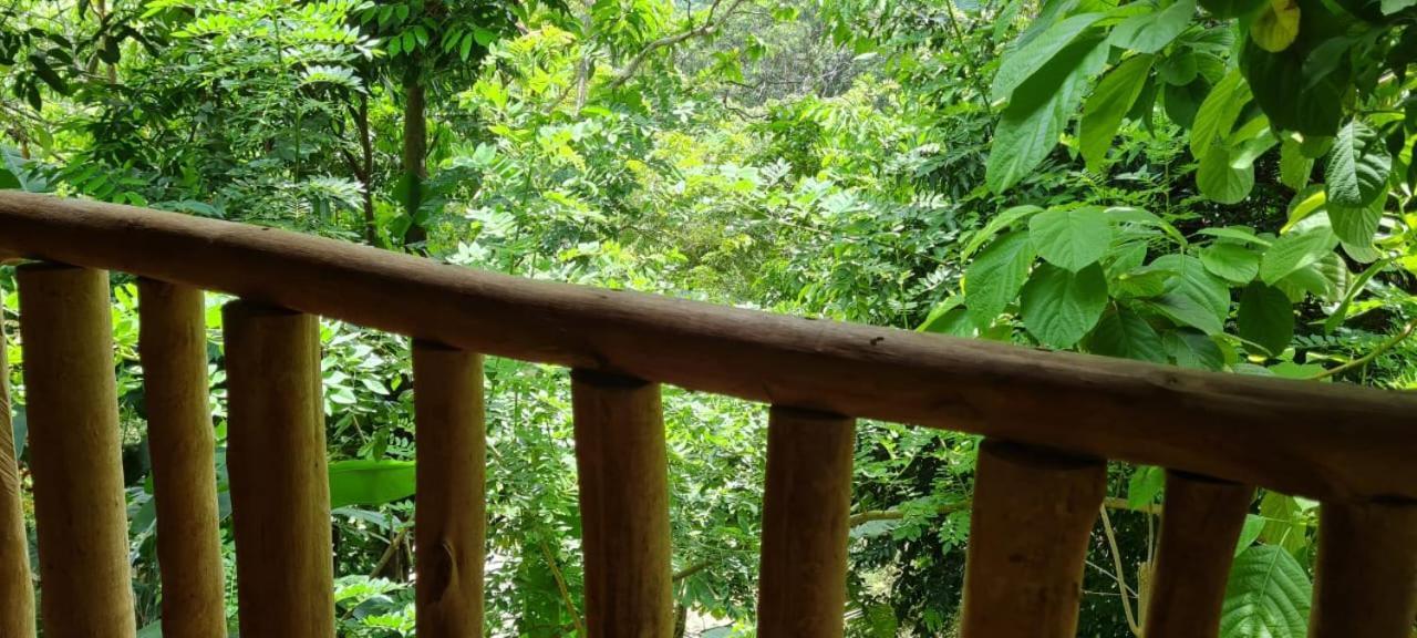 Eco Hostal Monolandia 埃尔扎伊诺 外观 照片