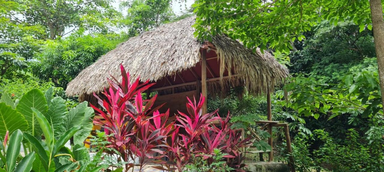 Eco Hostal Monolandia 埃尔扎伊诺 外观 照片