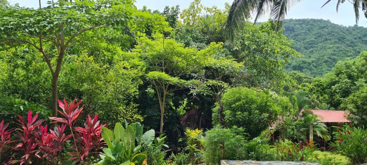 Eco Hostal Monolandia 埃尔扎伊诺 外观 照片