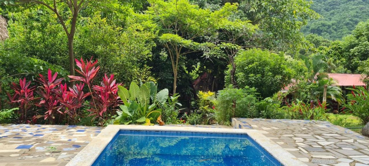 Eco Hostal Monolandia 埃尔扎伊诺 外观 照片
