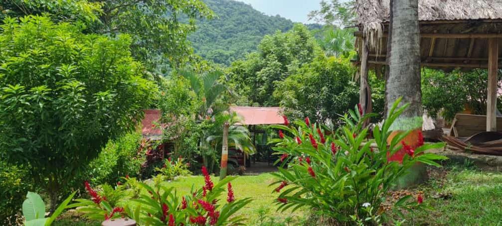 Eco Hostal Monolandia 埃尔扎伊诺 外观 照片