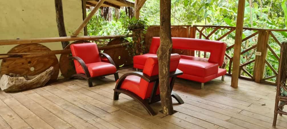 Eco Hostal Monolandia 埃尔扎伊诺 外观 照片