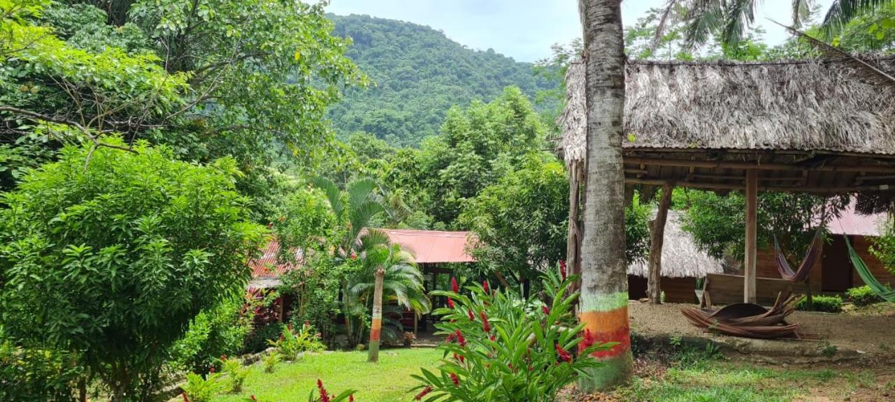 Eco Hostal Monolandia 埃尔扎伊诺 外观 照片