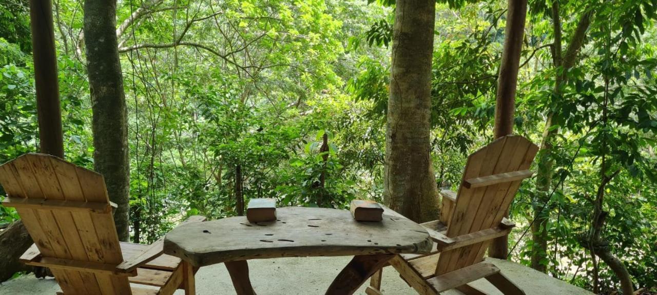 Eco Hostal Monolandia 埃尔扎伊诺 外观 照片