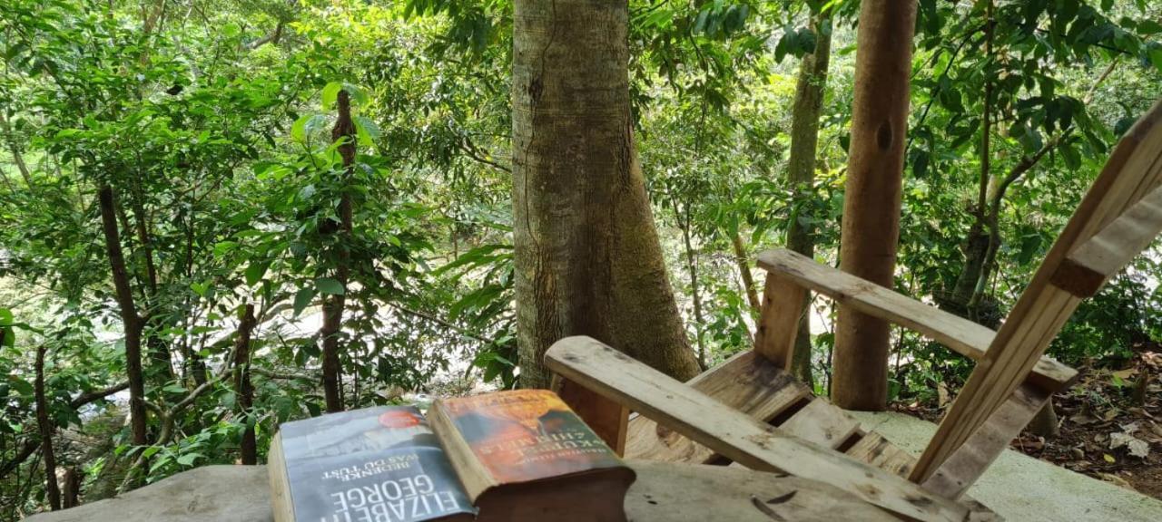Eco Hostal Monolandia 埃尔扎伊诺 外观 照片