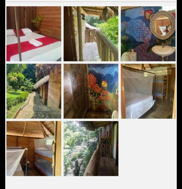 Eco Hostal Monolandia 埃尔扎伊诺 客房 照片