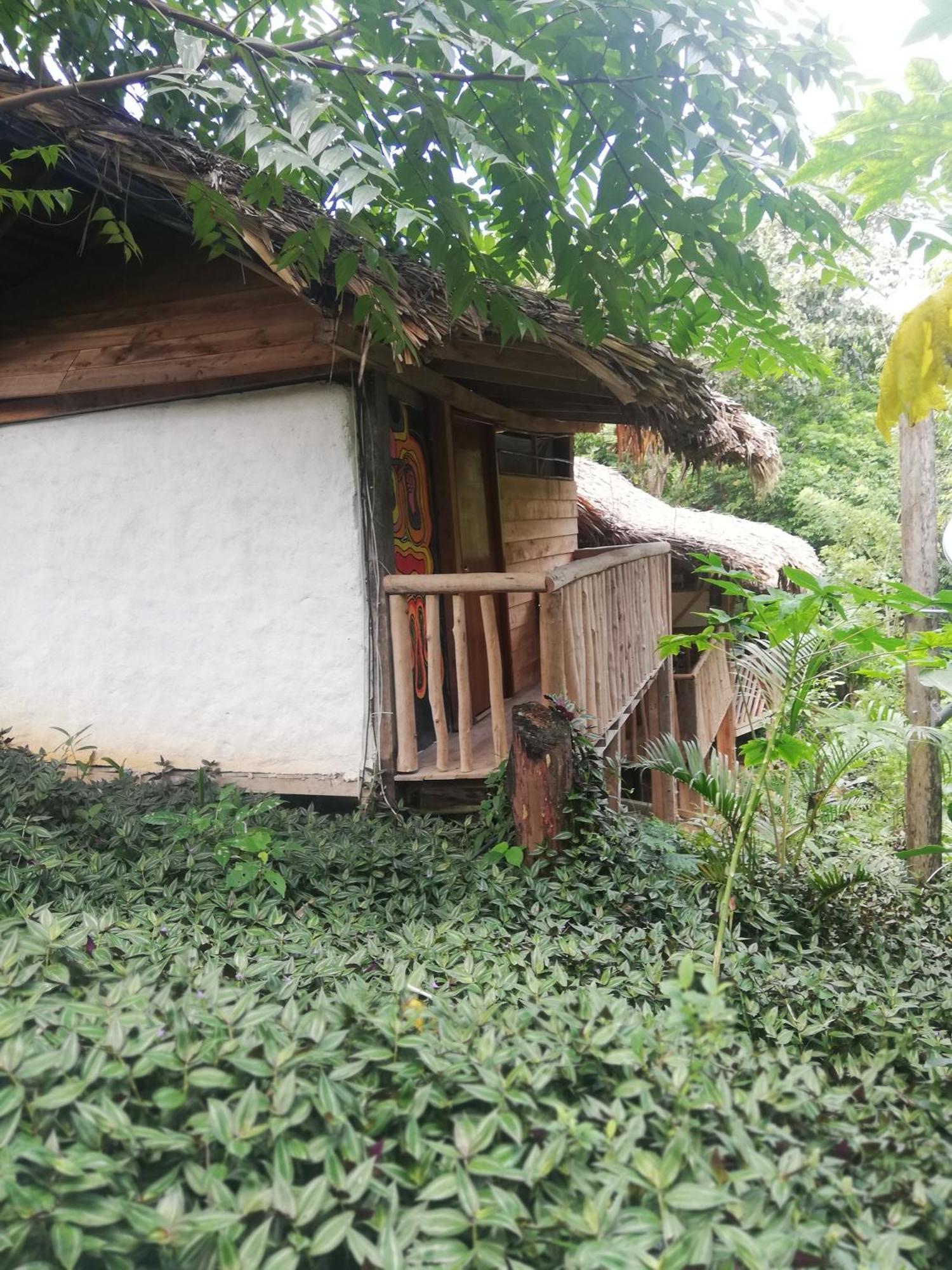 Eco Hostal Monolandia 埃尔扎伊诺 客房 照片
